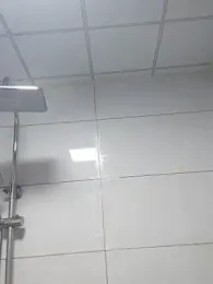 guozuo webcam model stream image