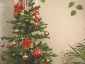 tommyfoxboy webcam model stream image