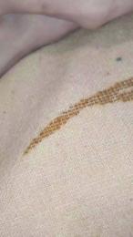 Simosamy webcam model stream image