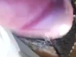 sexyrenzy webcam model stream image