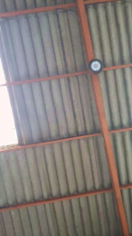 Alex39h webcam model stream image