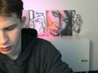 veldi-to webcam model stream image