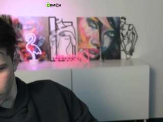 veldi-to webcam model stream image