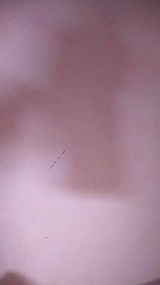 jazmin181 webcam cam4 model stream image