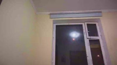 FlyMonster webcam model stream image