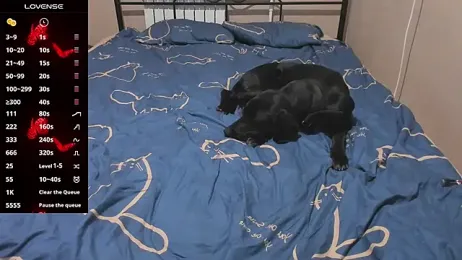 eva_zero webcam model stream image