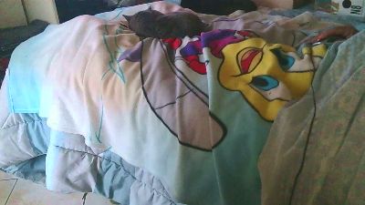 chicco60 webcam model stream image