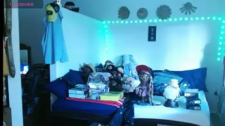 ibPMS webcam model stream image