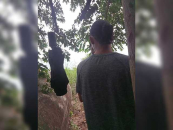 ROOMEXOTIC11 webcam model stream image