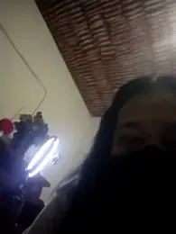 catdool webcam model stream image