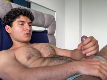 _reiner webcam model stream image