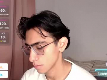 ash_v1 webcam model stream image