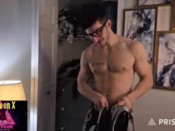 hardselfone webcam model stream image