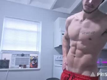 hardselfone webcam model stream image