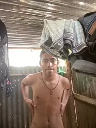 Mellvinn webcam model stream image