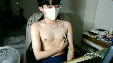 max5388 webcam model stream image