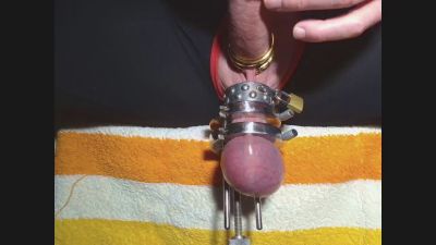 Rhorsi69MS webcam model stream image