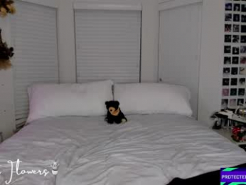 violetttflowers webcam chaturbate model stream image