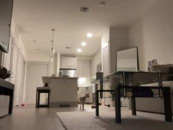 luvaimee webcam model stream image