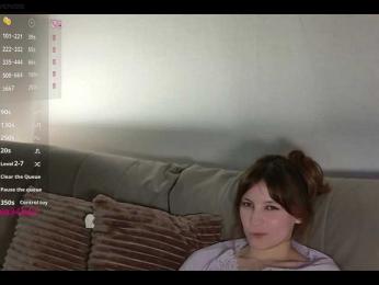 INsight webcam model stream image