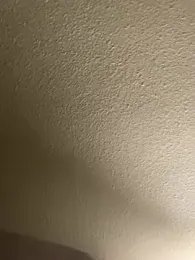 KE6FRAN7 webcam model stream image