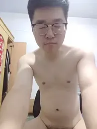 gscdc265 webcam model stream image
