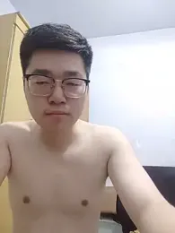 gscdc265 webcam model stream image