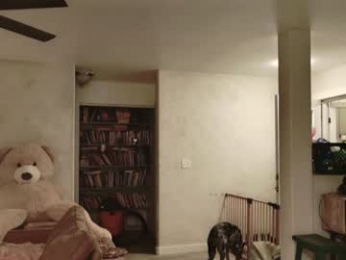 kaileeshy webcam model stream image