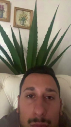 NickOlo99 webcam model stream image