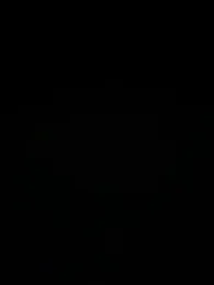 DiMadeira17dota webcam stripchat model stream image