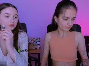 pure_radiance webcam model stream image