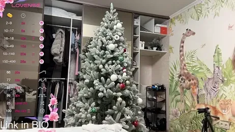 tinykisa webcam model stream image