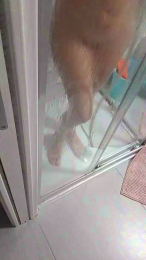 Merytredici webcam model stream image