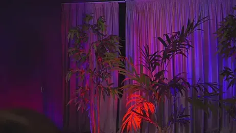 HotBustyBabeX webcam model stream image