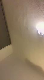 Javiexotic69 预览图