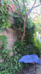 hotboy1955 webcam model stream image