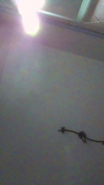 Aquila183 webcam cam4 model stream image