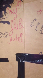 Mikeylikesit777 webcam model stream image