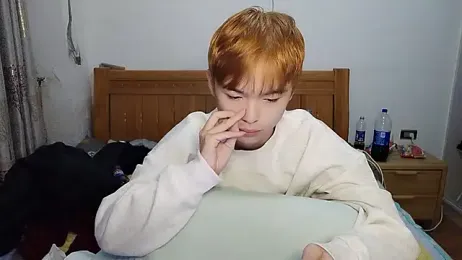 w5206t webcam model stream image