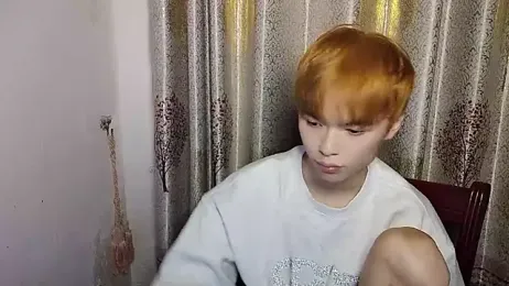 w5206t webcam model stream image