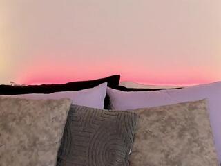 Aldha webcam model stream image