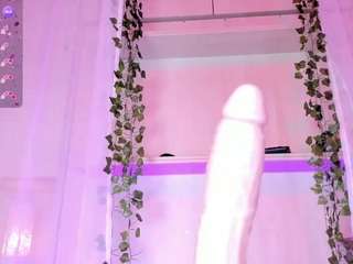 camigox webcam model stream image