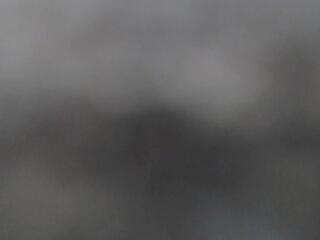 Adrianna Fox webcam model stream image