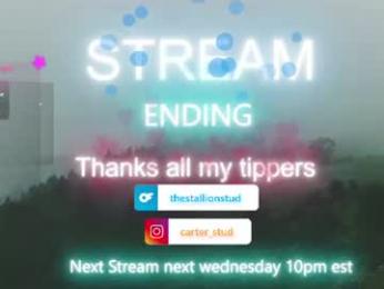 thestallionstud webcam model stream image