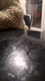 jinoyjeny webcam cam4 model stream image