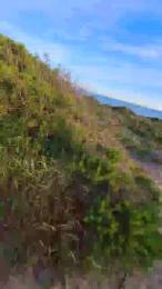 Vislumbre webcam model stream image