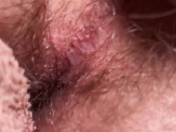 hey_arnold webcam model stream image