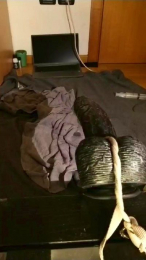 tmeyelife2 webcam model stream image