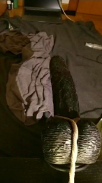 tmeyelife2 webcam model stream image