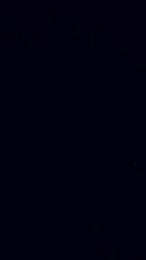 cali1967 webcam model stream image